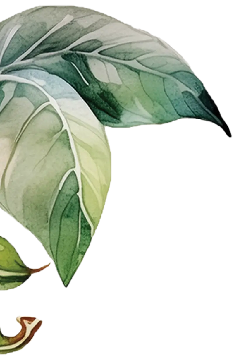 Prosoy Call to Action