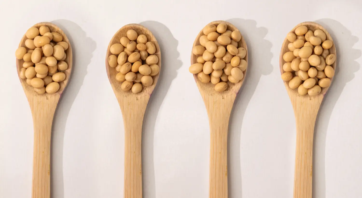 About Prosoy
