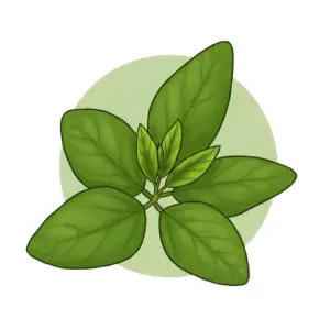 Why Prosoy - Non-GMO