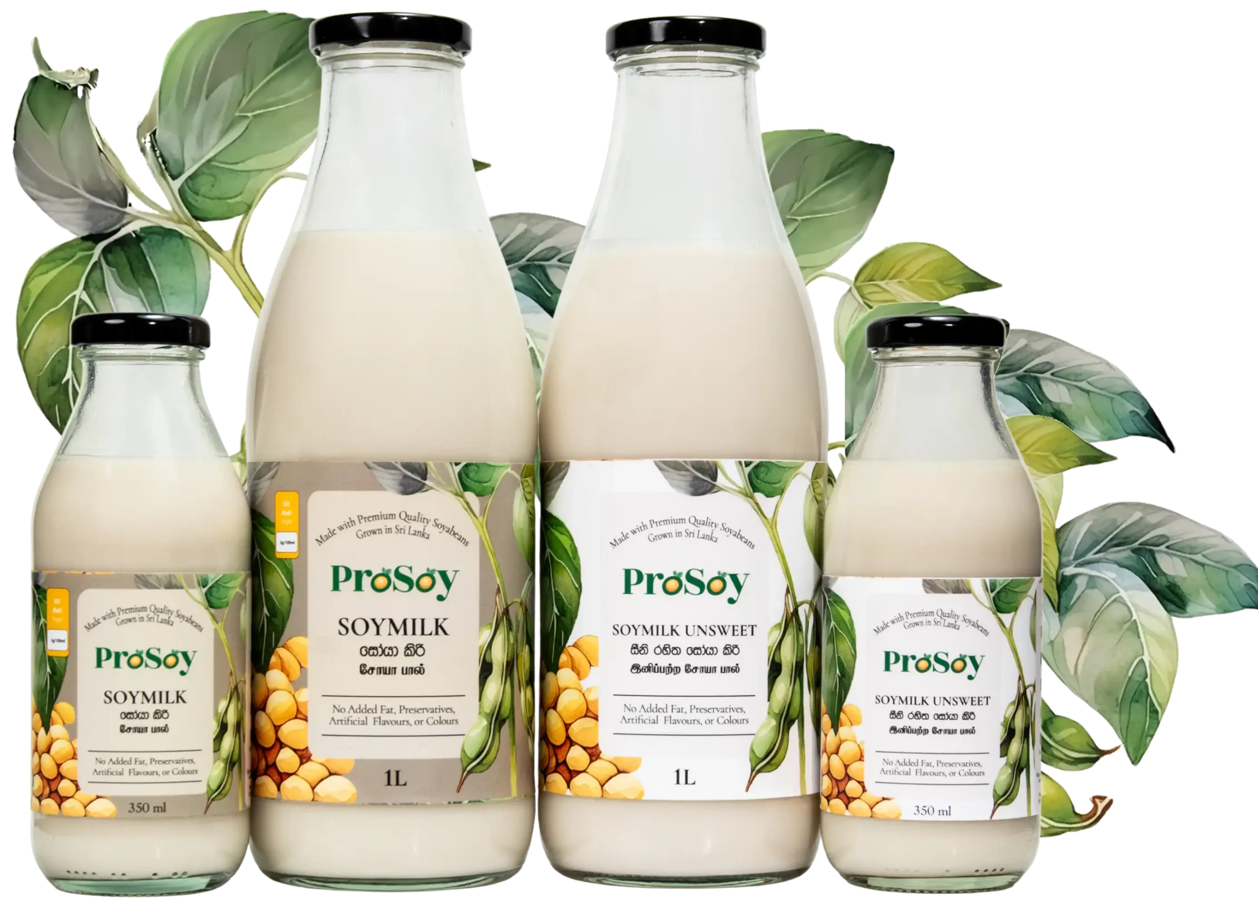 Prosoy Hero Image